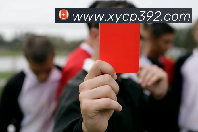幸运彩票xycp平台生态图